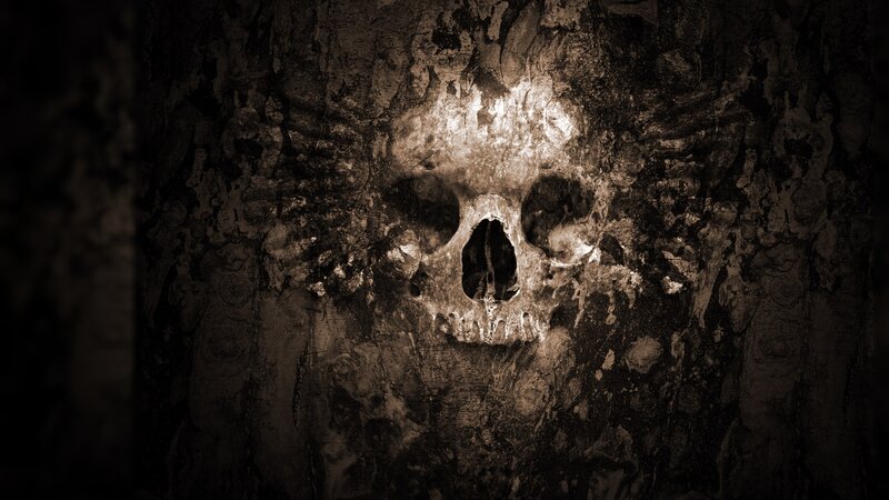 Skull Carved into Wood — Brown, Dark