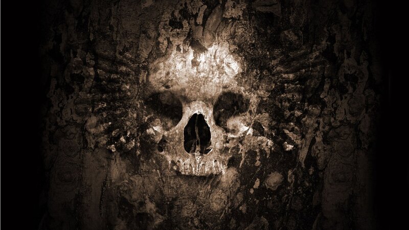 Skull Carved into Wood — Brown