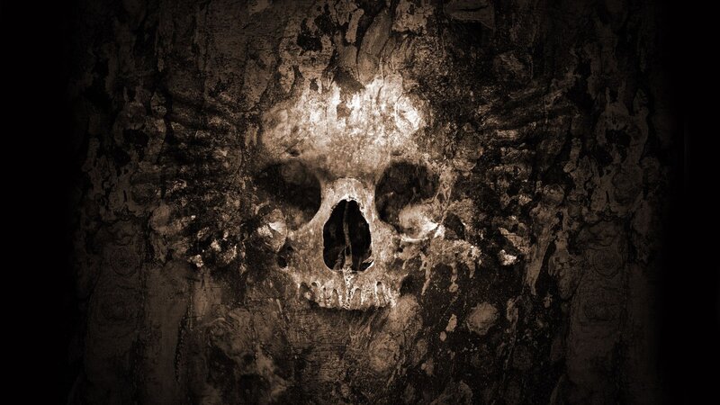 Skull Carved into Wood