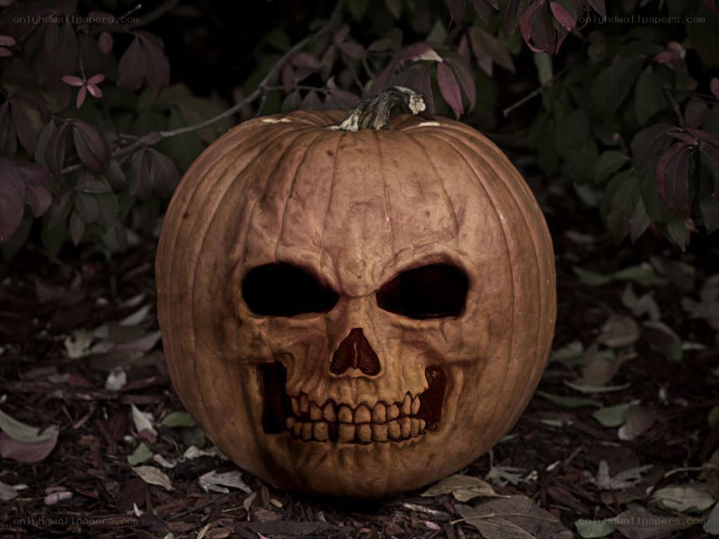 skull carved pumpkin