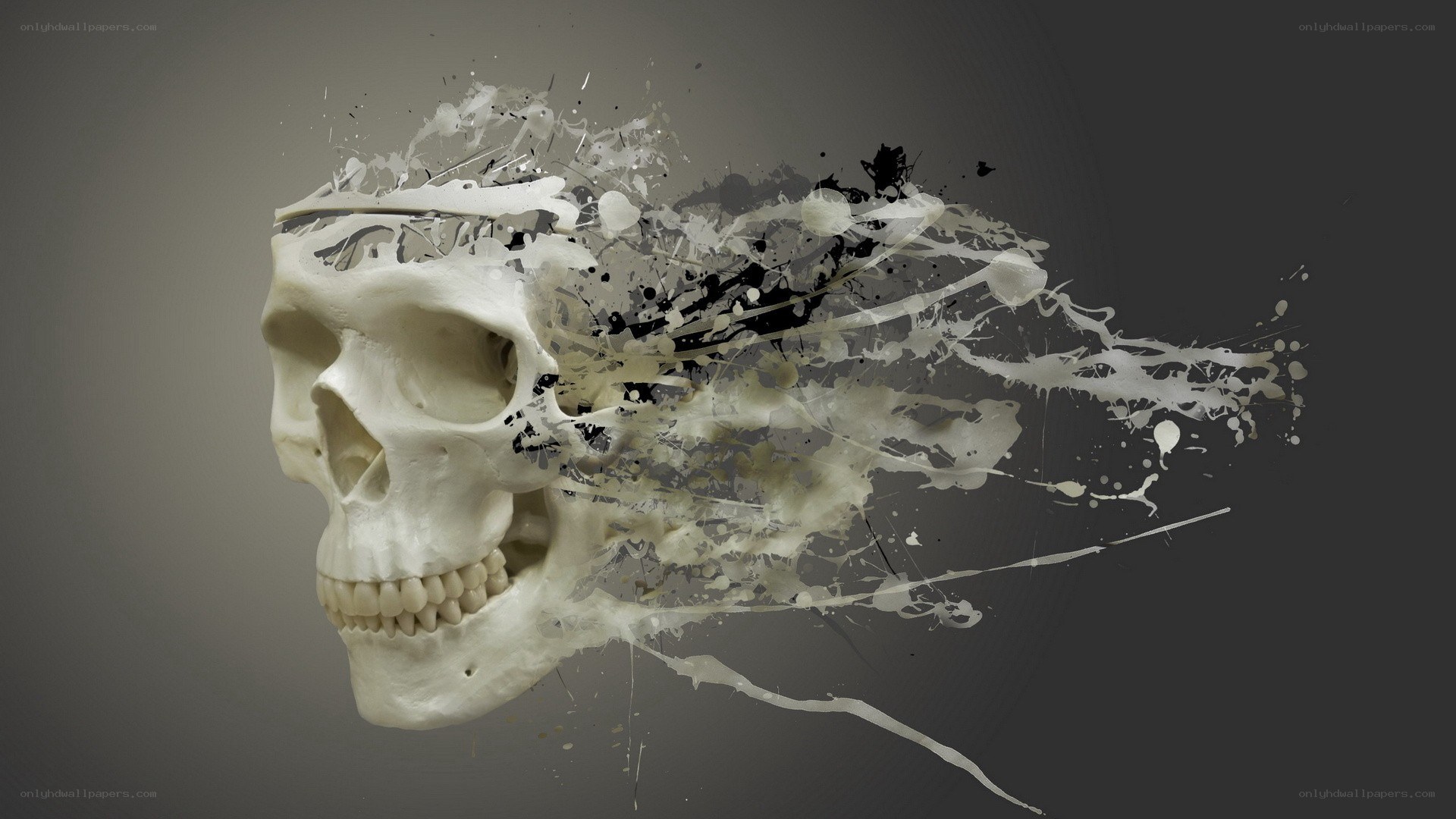 skull dissolving in paint