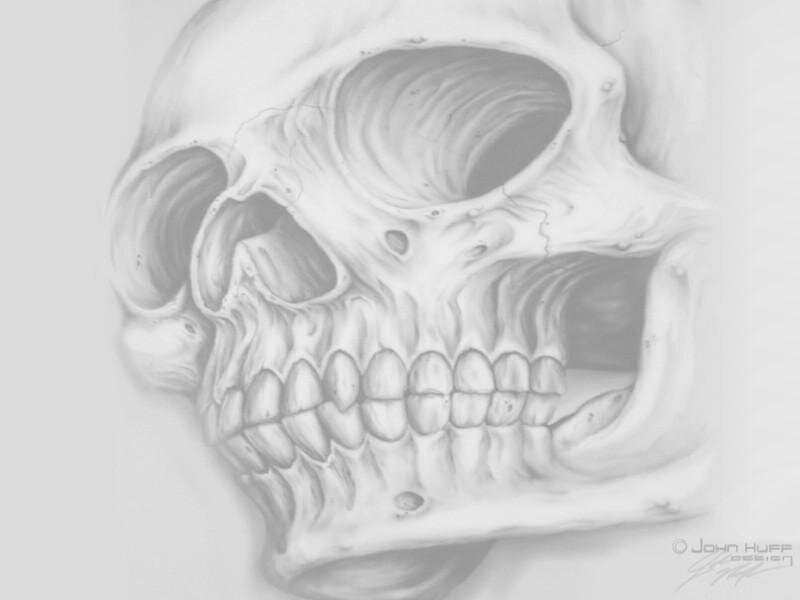 skull drawing artwork