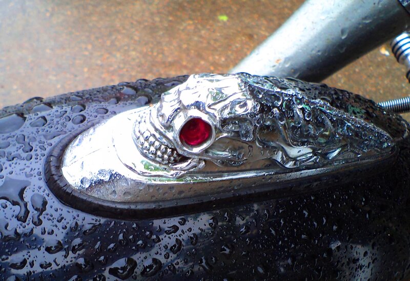 Skull Emblem on Motorcycle