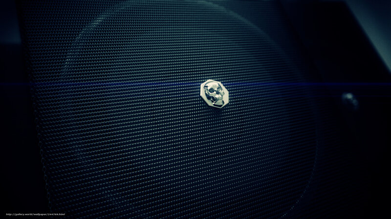 Skull emblem on speaker grille