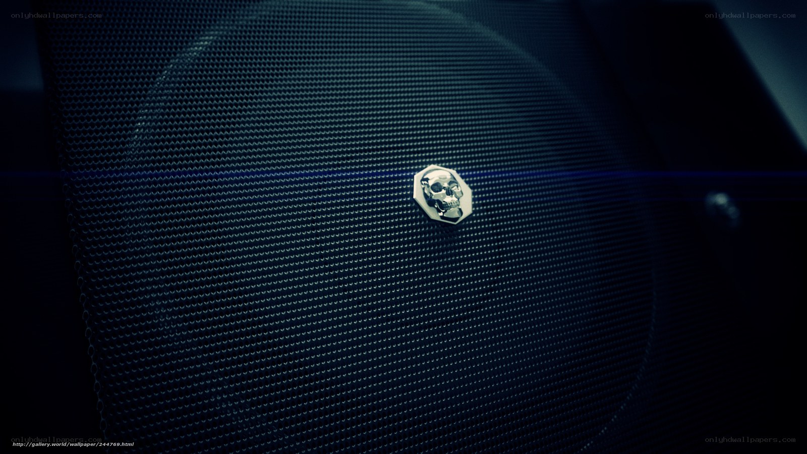 Skull emblem on speaker grille