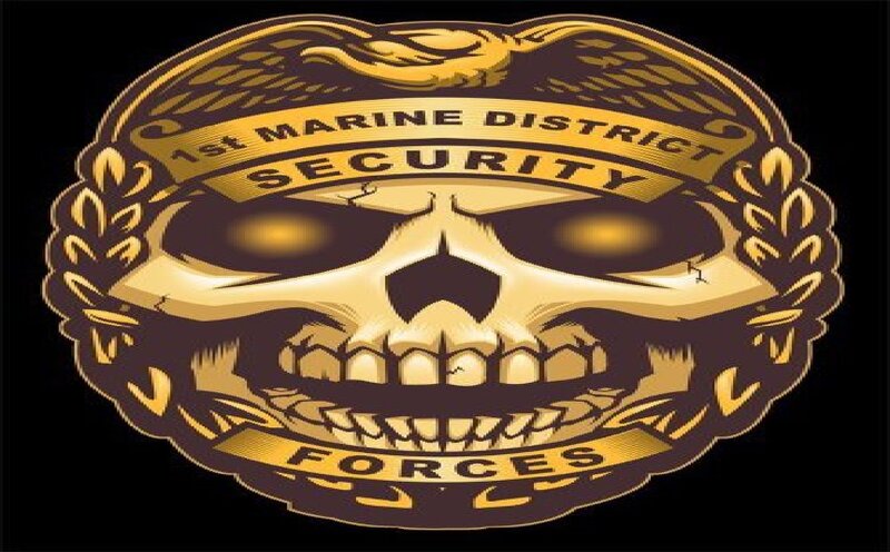 Skull Emblem with Wings