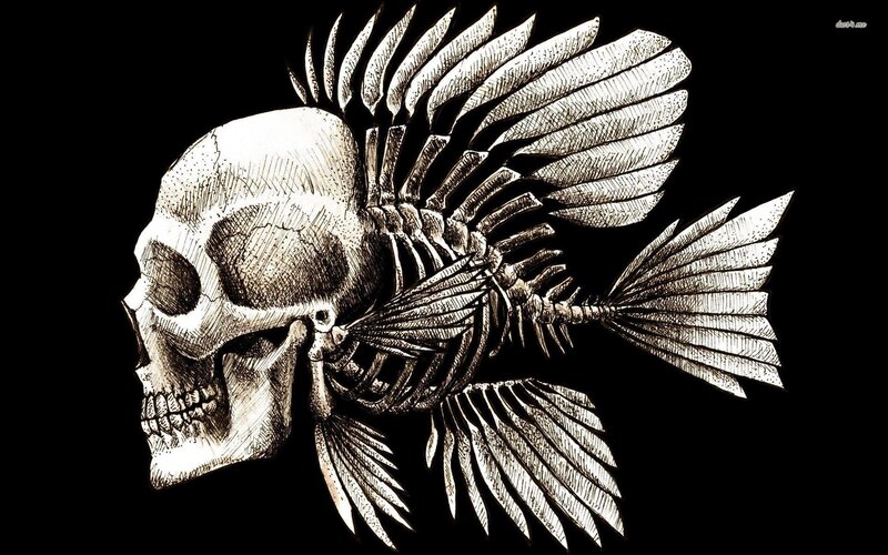 Skull Fish Skeleton