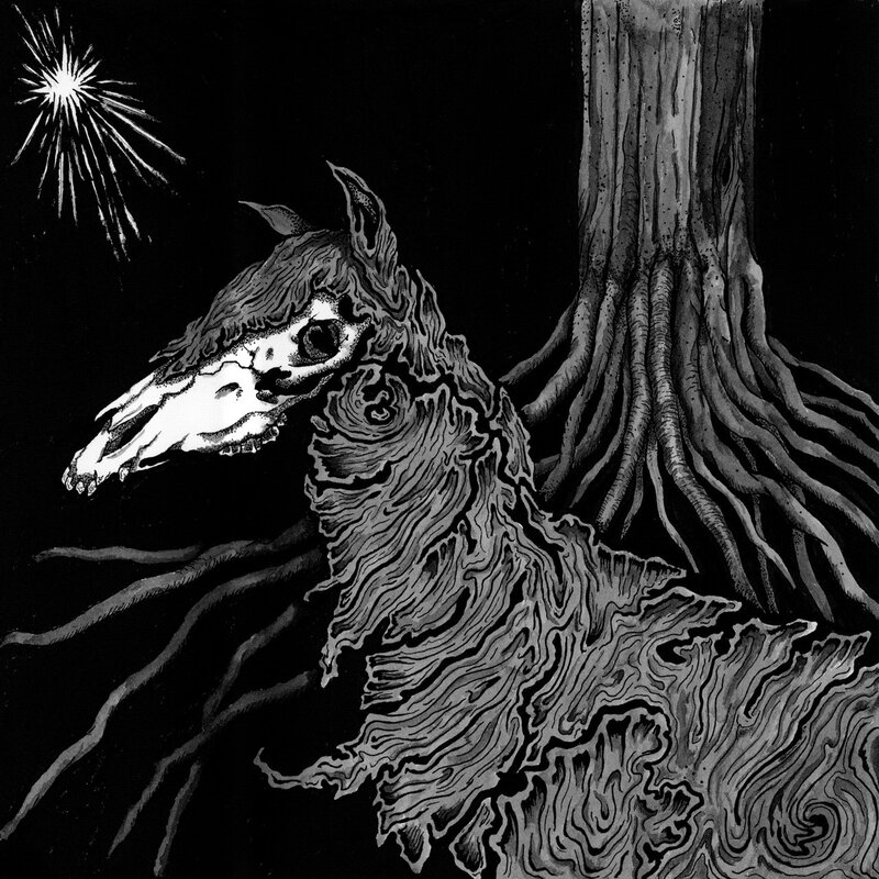 skull horse under starlight