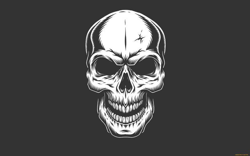 Skull Illustration — Black, Dark, Eyes