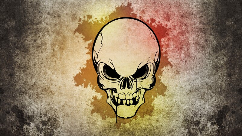 Skull Illustration — Brown