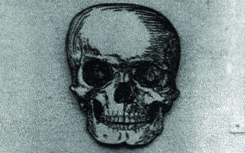 skull illustration drawing