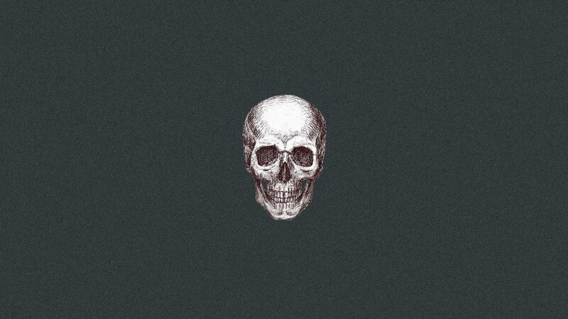 Skull Illustration — Gray