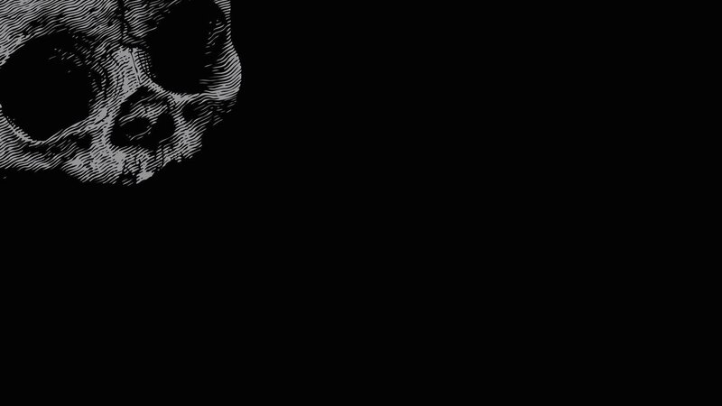 skull illustration in corner
