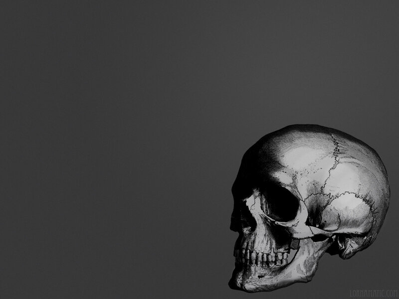 skull illustration on gray