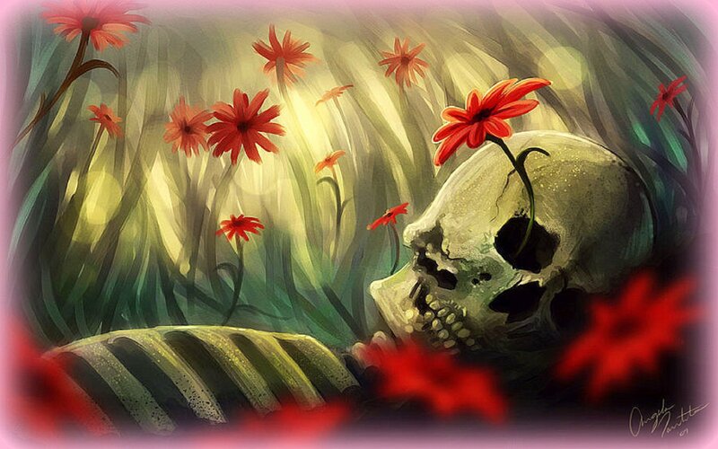 Skull in a Field