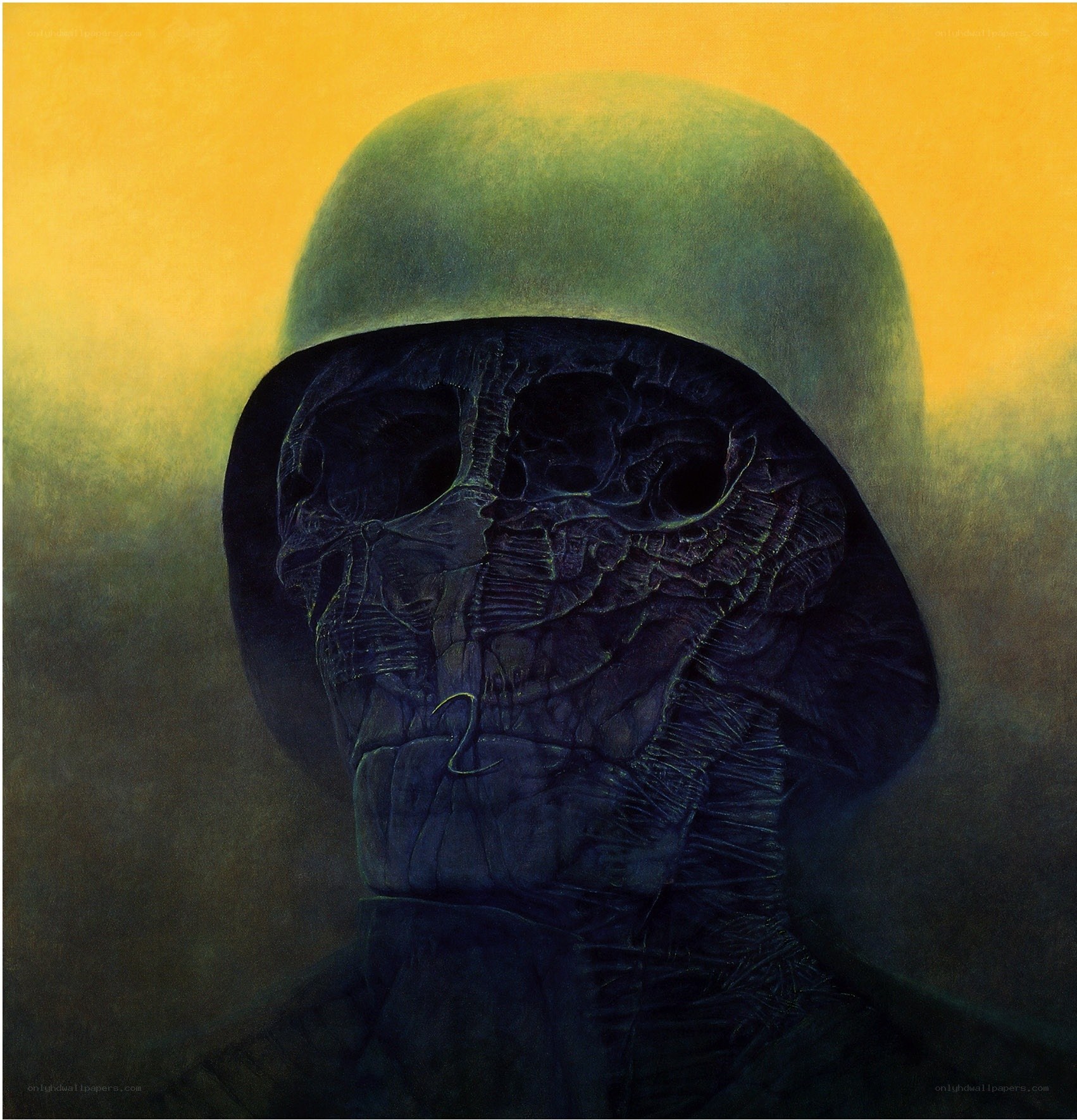 Skull in a helmet