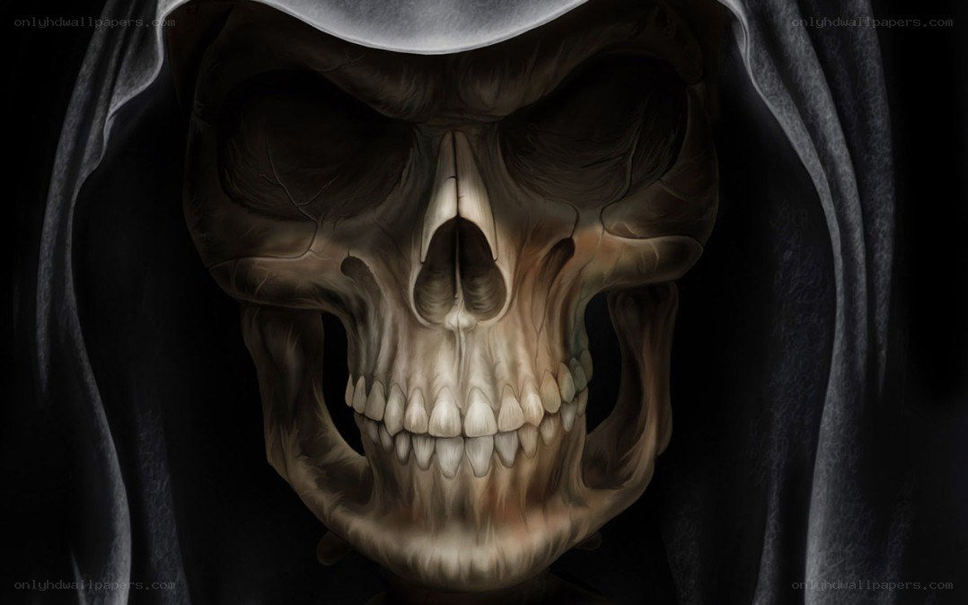 skull in a hood