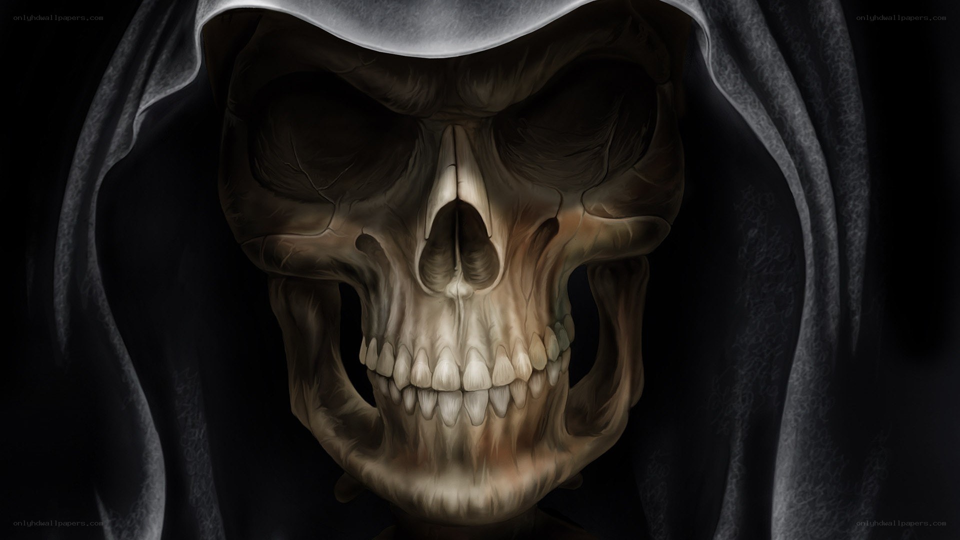 skull in a hood