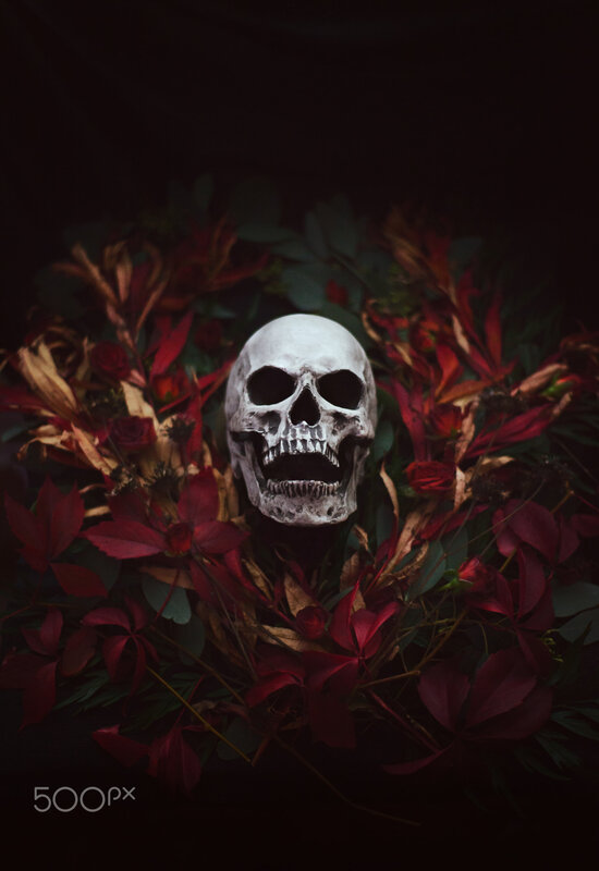Skull in Autumn Leaves