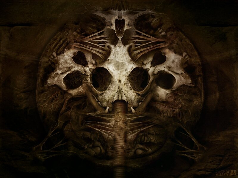 Skull in Cave Wall