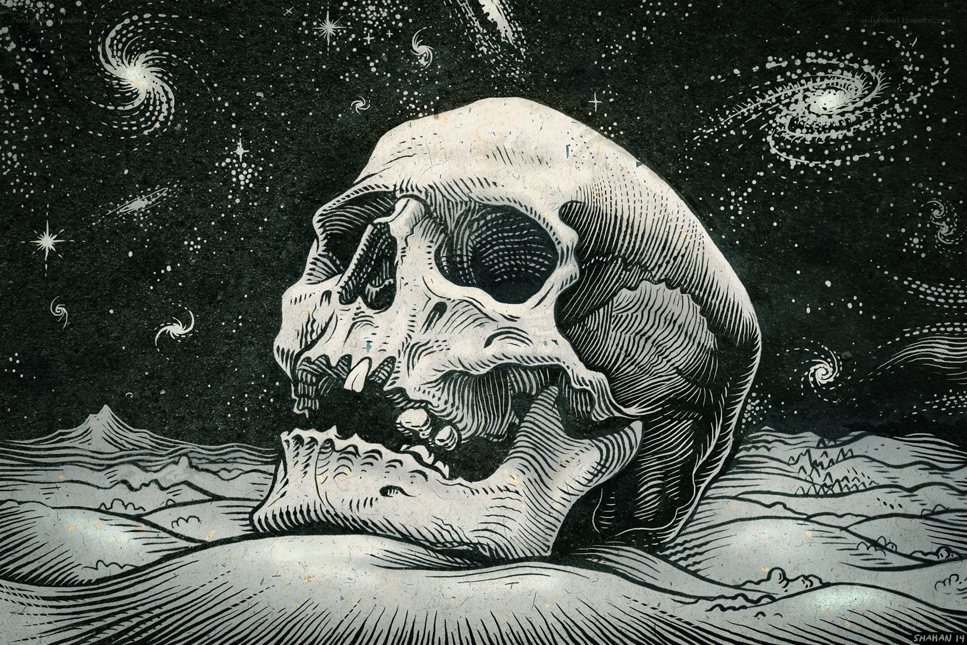 skull in cosmic landscape