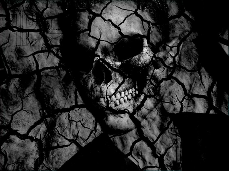 Skull in Cracked Earth