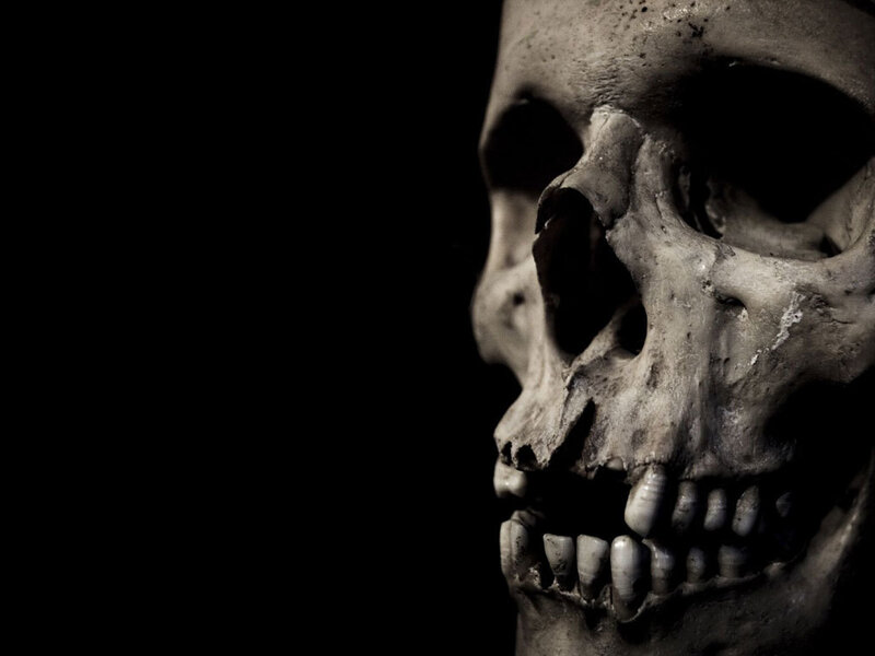 skull in dark background