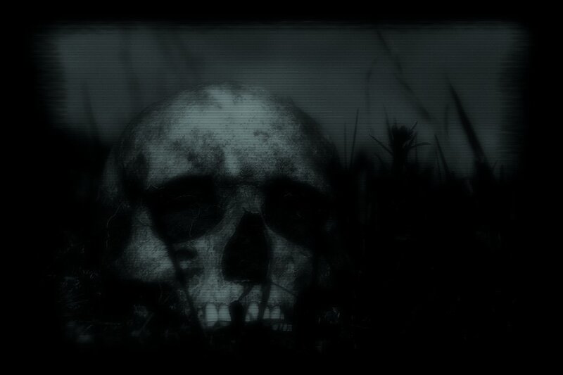 Skull in Dark Grass