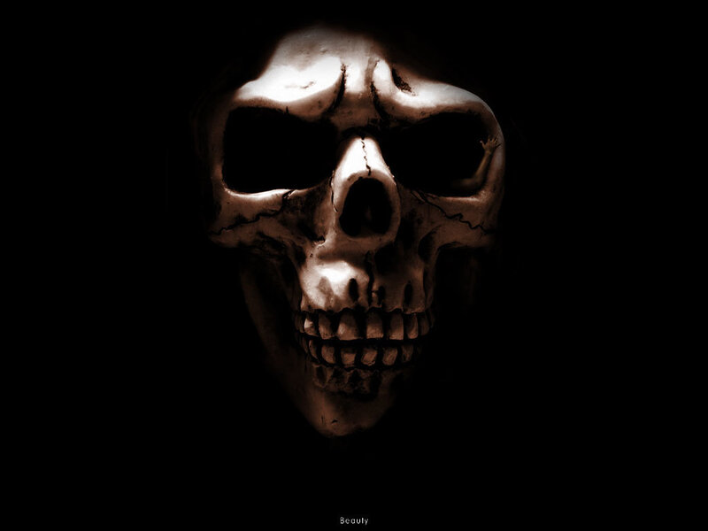 skull in dark light
