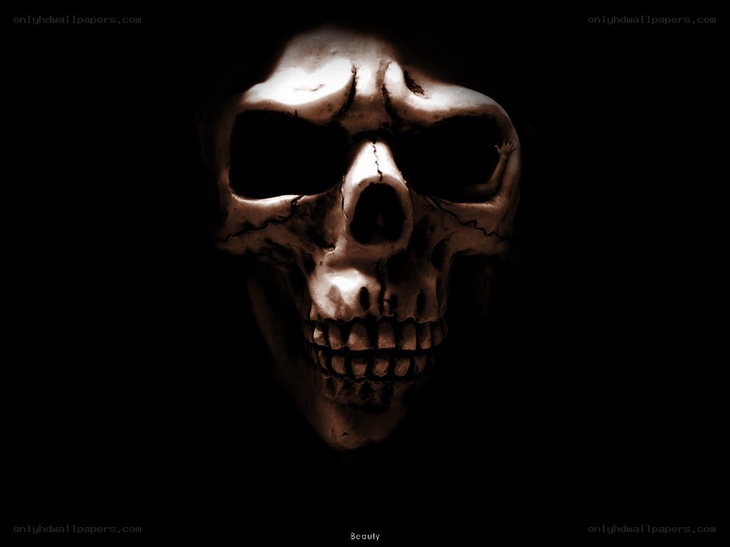 skull in dark light