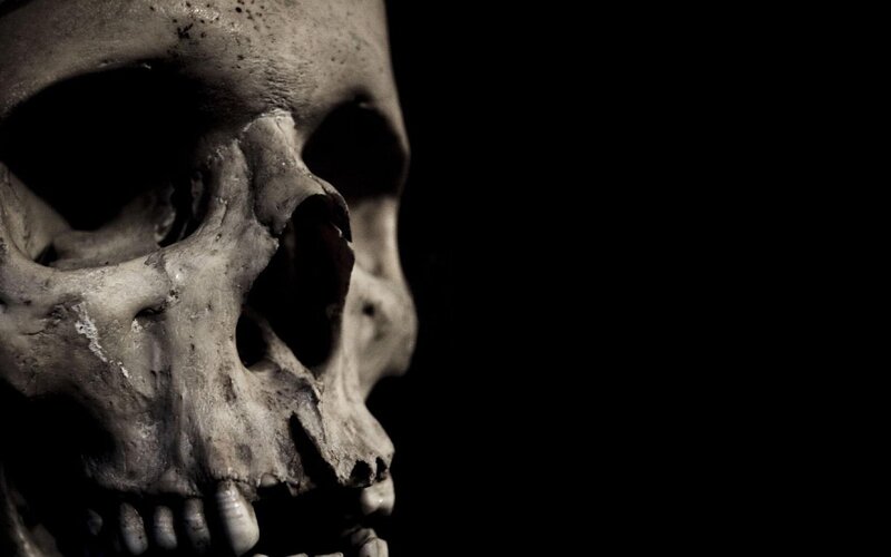 skull in dark lighting