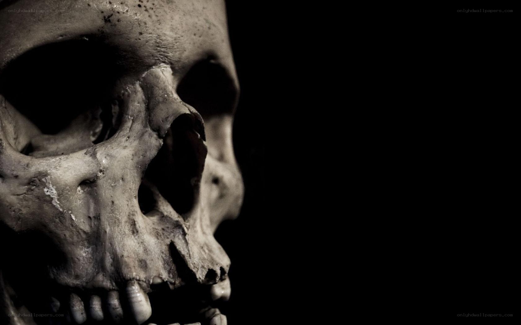 skull in dark lighting