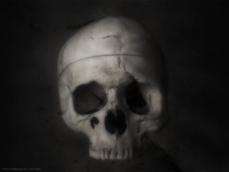 skull in dark setting