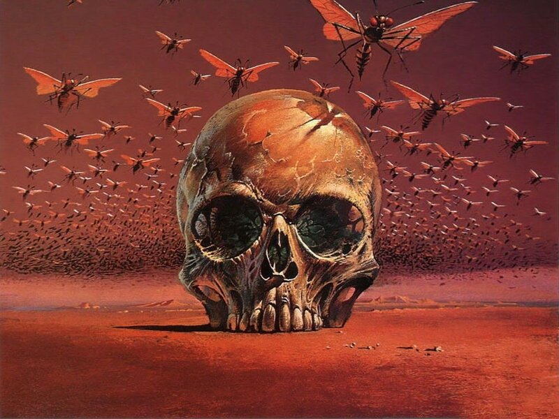 Skull in Desert — Red