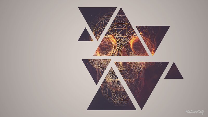 Skull in Geometric Pattern