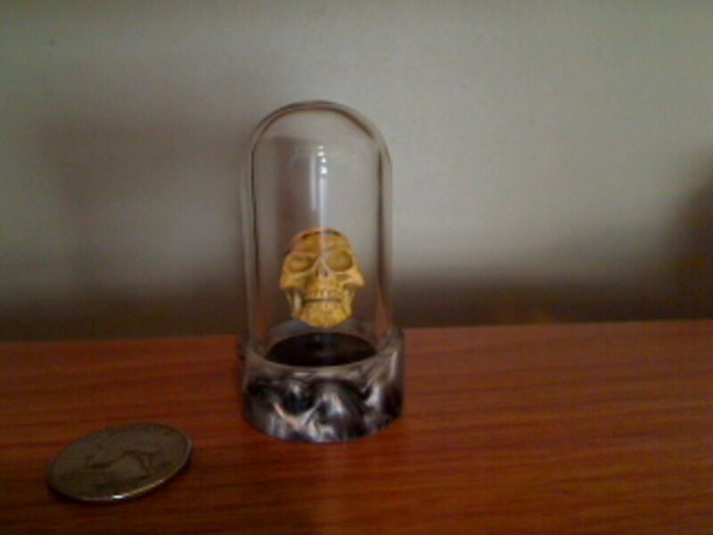 Skull in glass dome