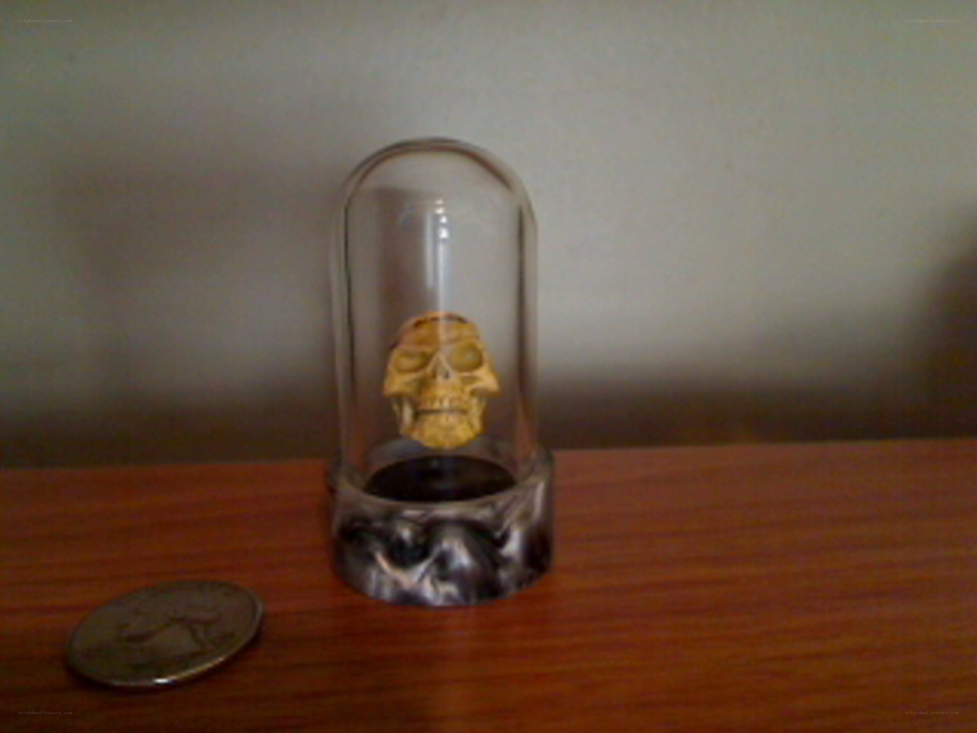 Skull in glass dome