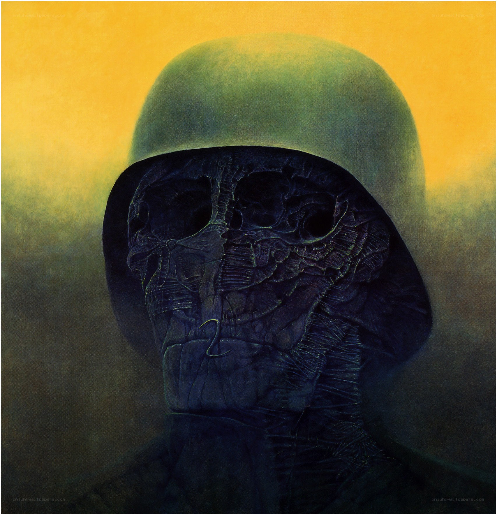 skull in helmet portrait