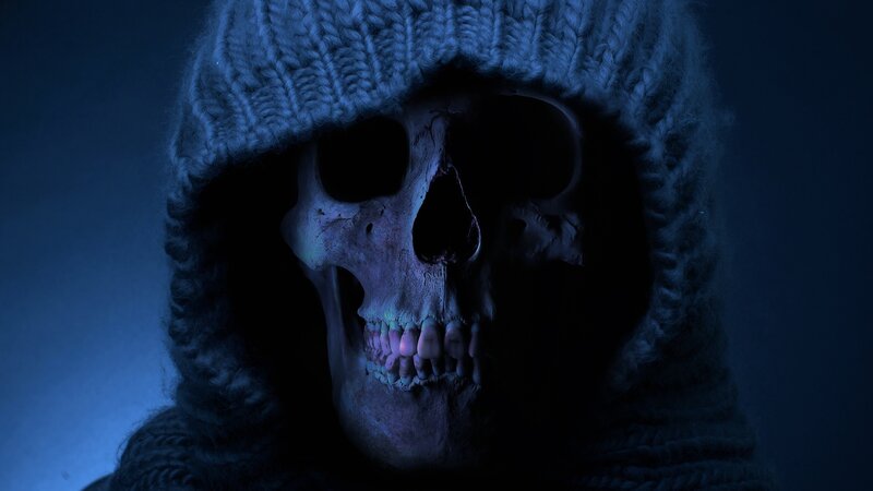 Skull in Knitted Hood