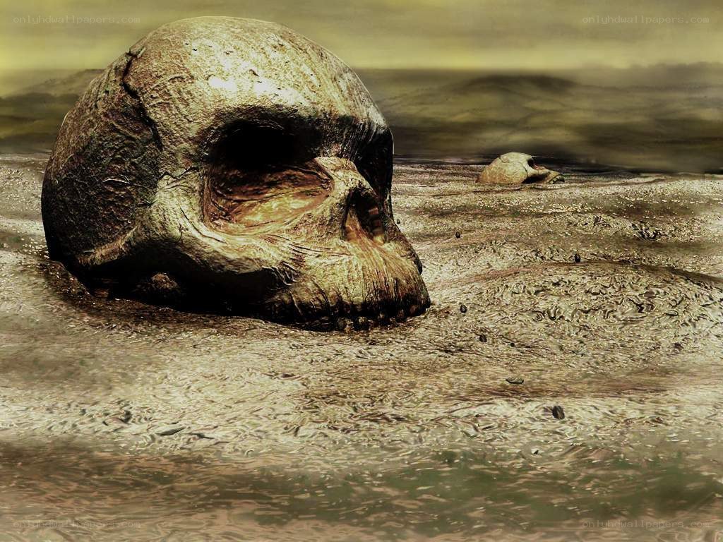 Skull in muddy water