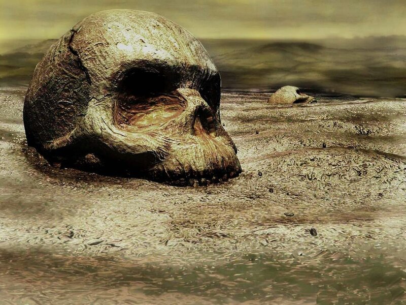 Skull in muddy water