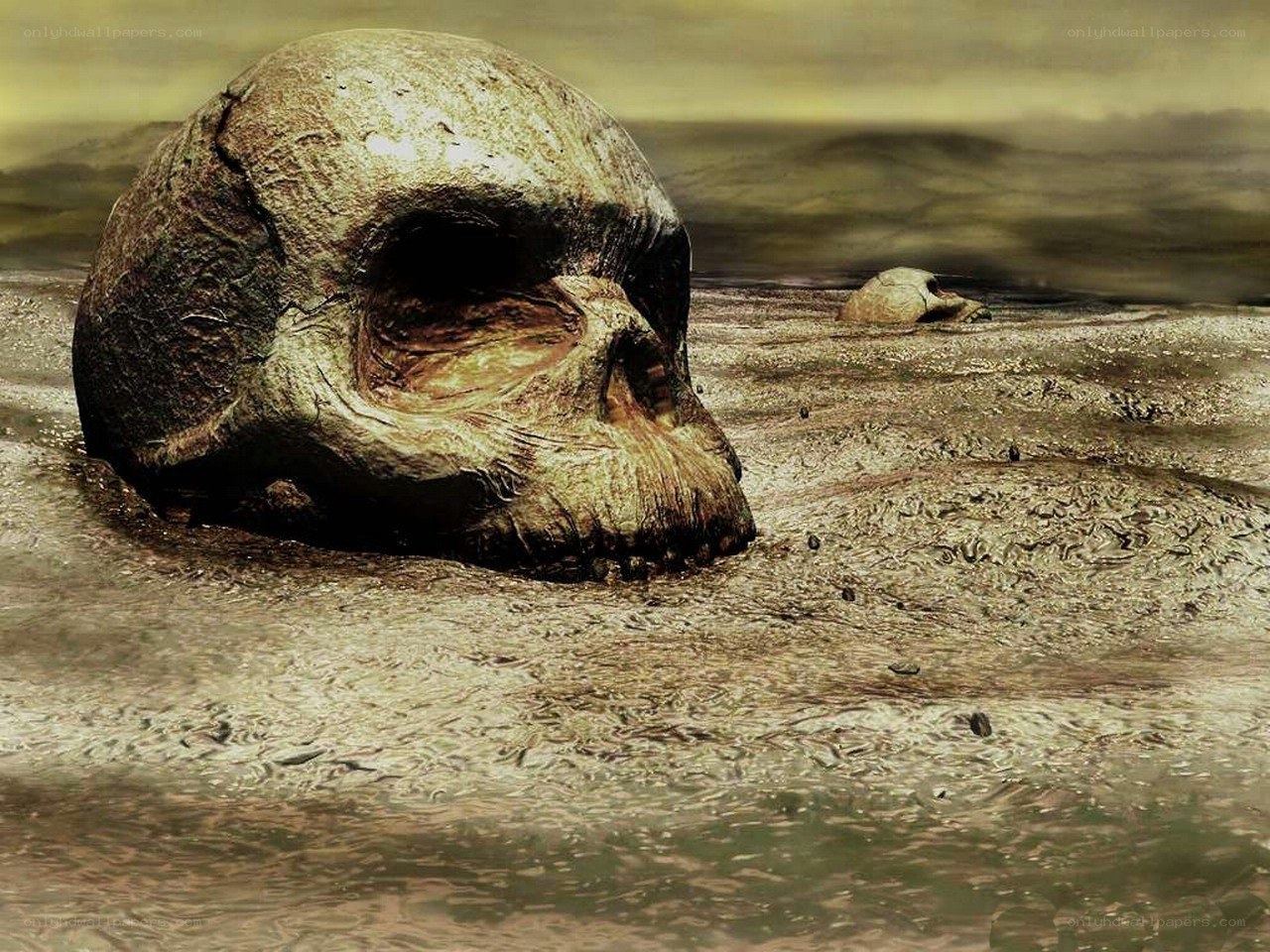 Skull in muddy water