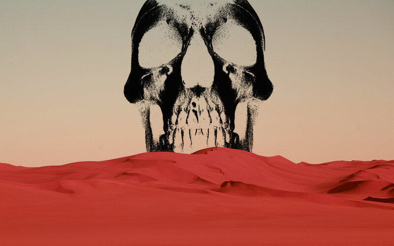 skull in red desert