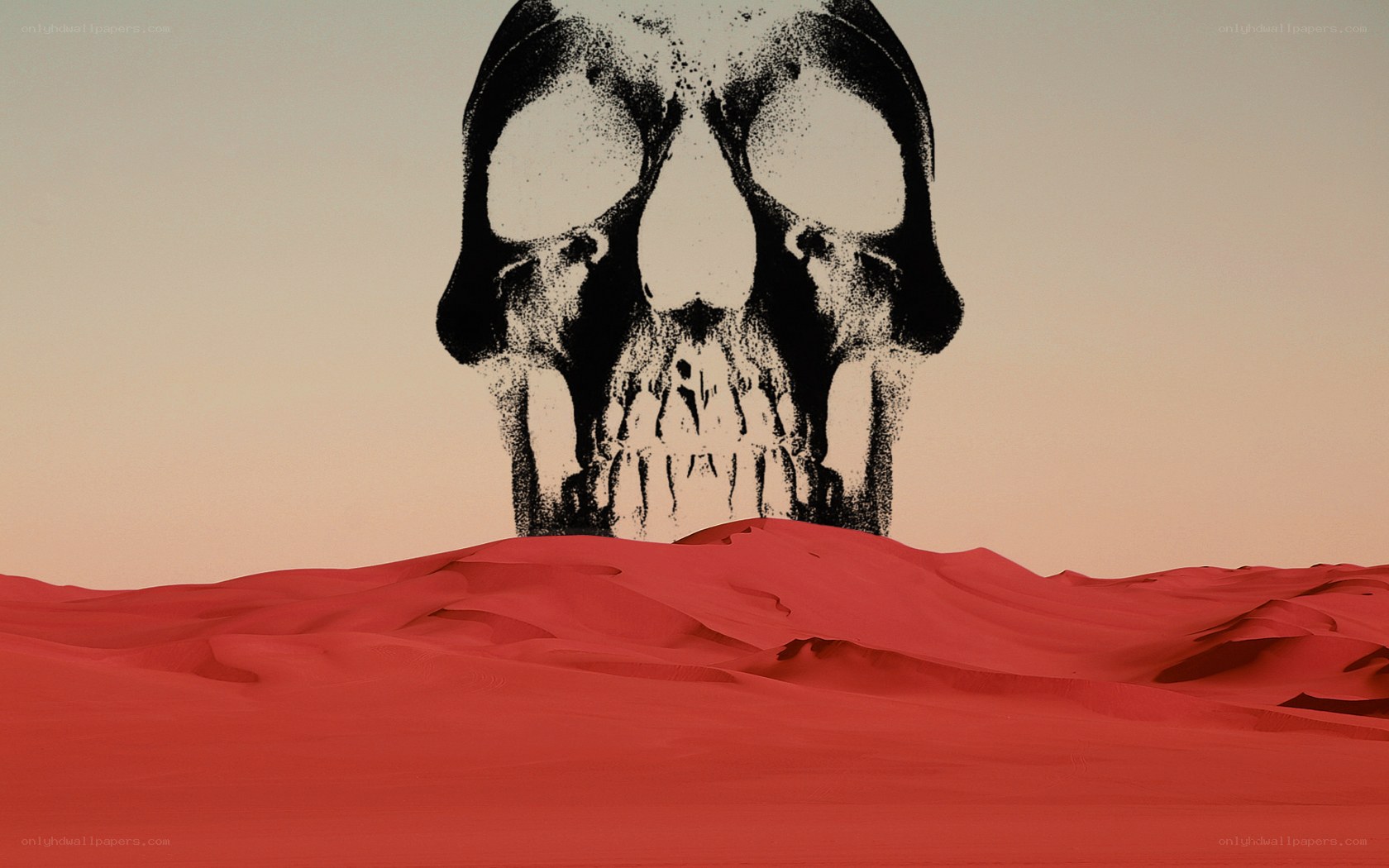 skull in red desert