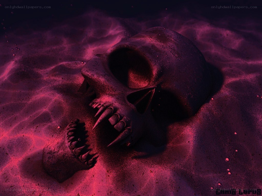 skull in red sand