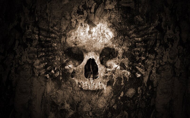 Skull in Stone Wall