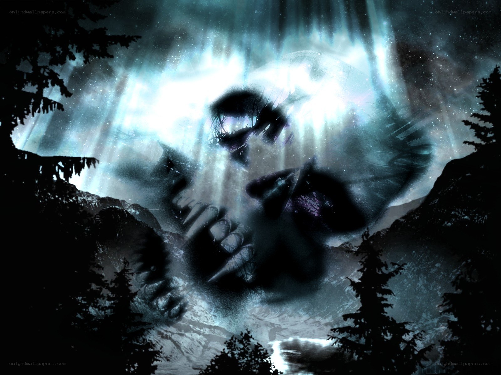 Skull in the Northern Lights