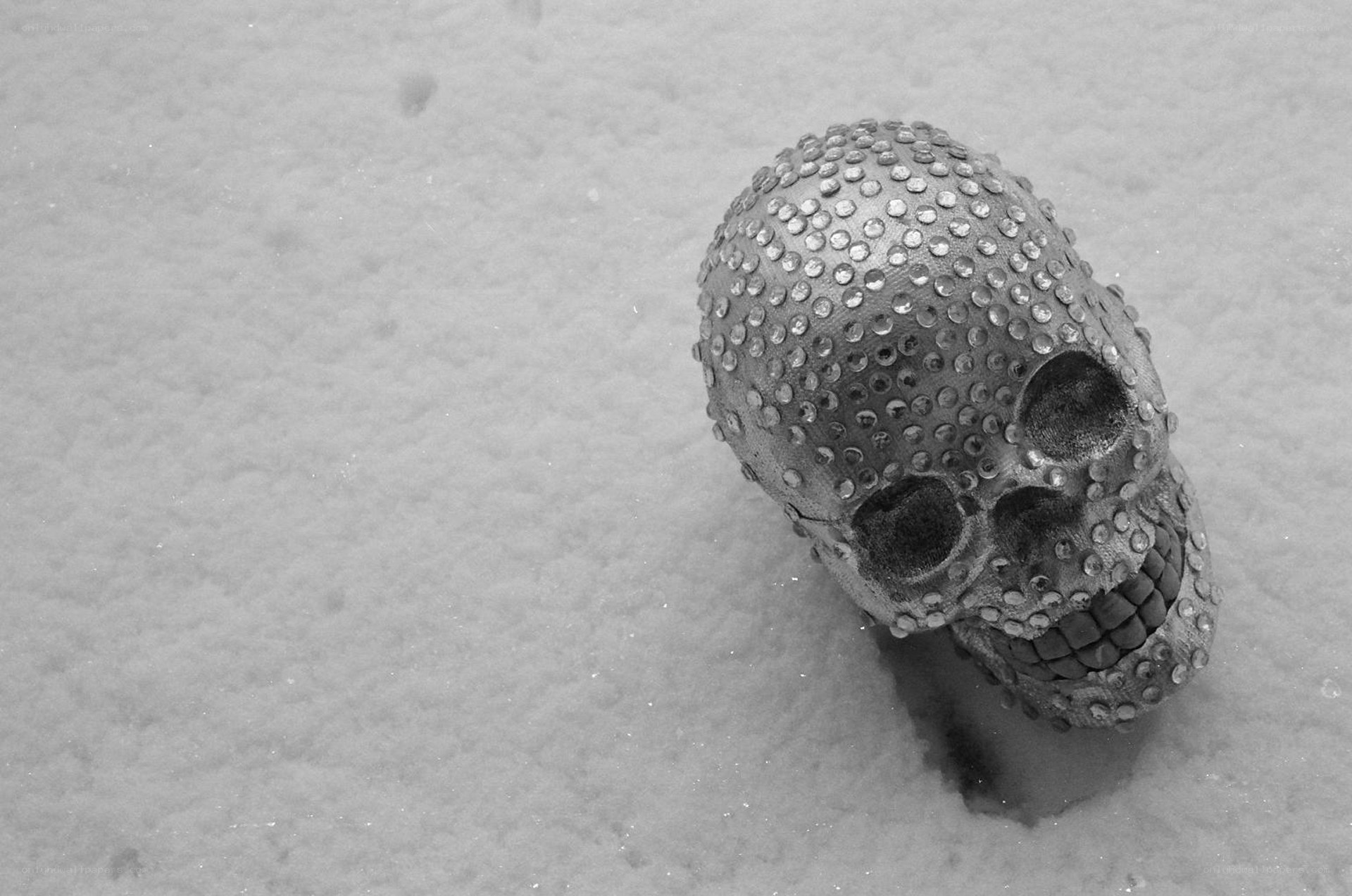 Skull in the snow