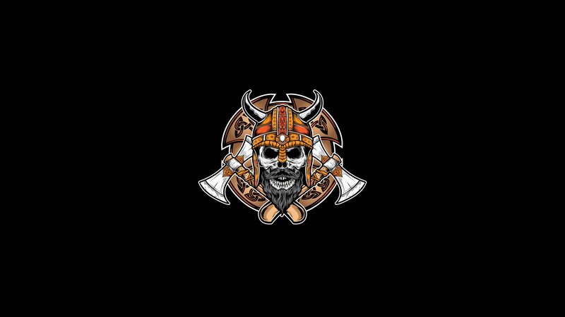 Skull in Viking Helmet