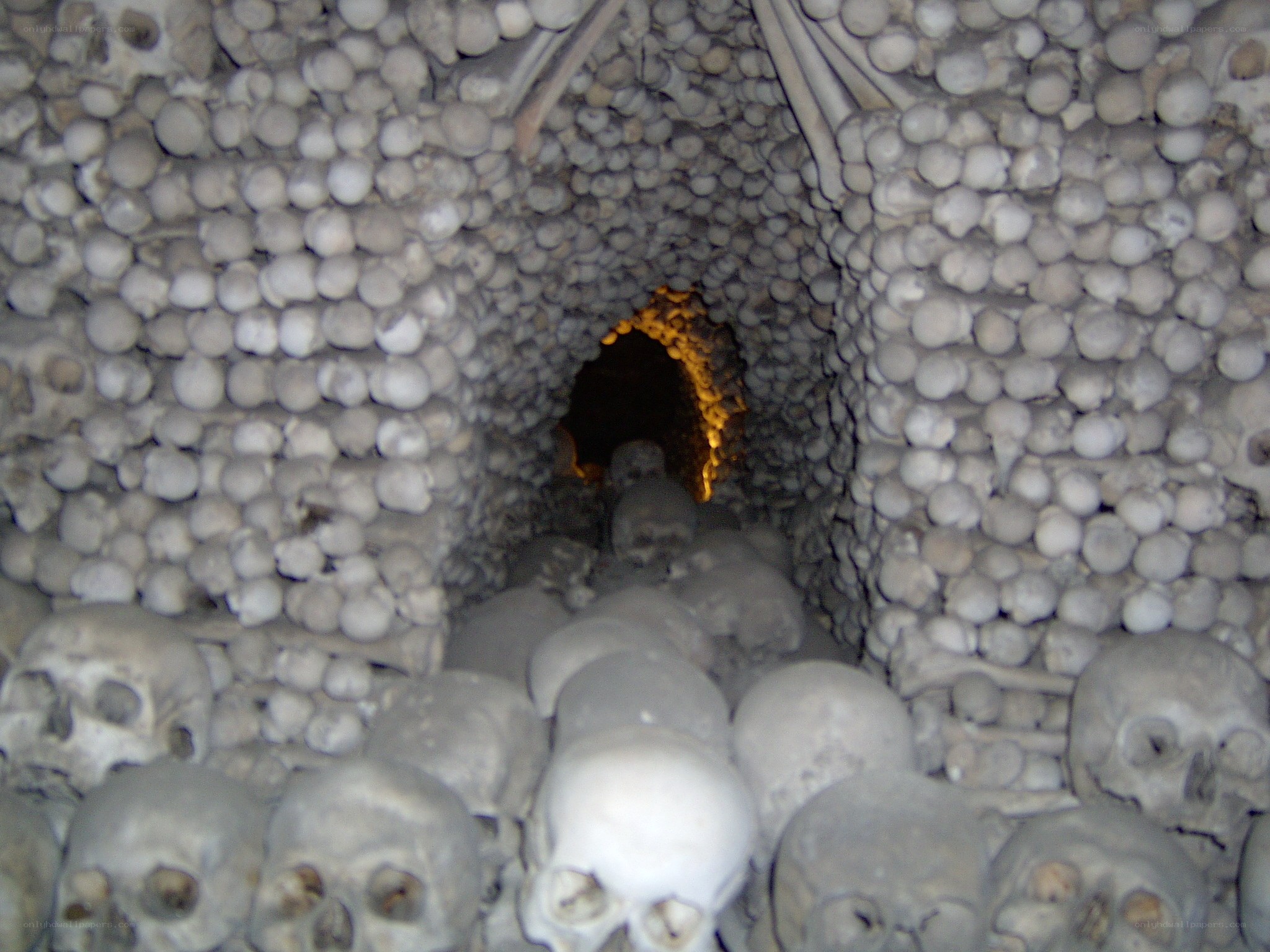 skull-lined tunnel